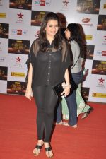 Prachi Shah at Big Star Awards red carpet in Mumbai on 16th Dec 2012 (82).JPG